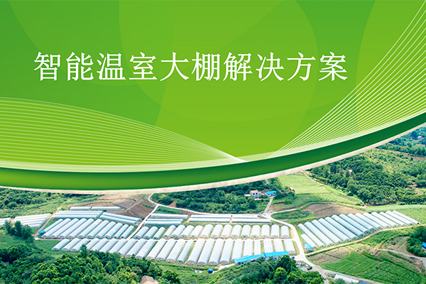 智能温室大棚解决方案
